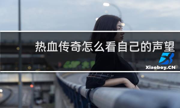 热血传奇怎么看自己的声望