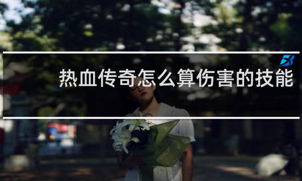 热血传奇怎么算伤害的技能