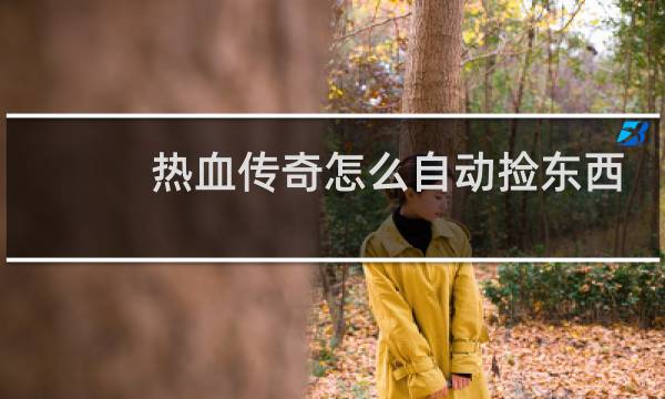 热血传奇怎么自动捡东西