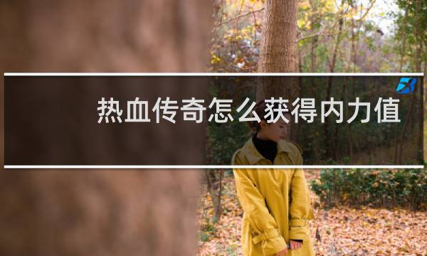 热血传奇怎么获得内力值