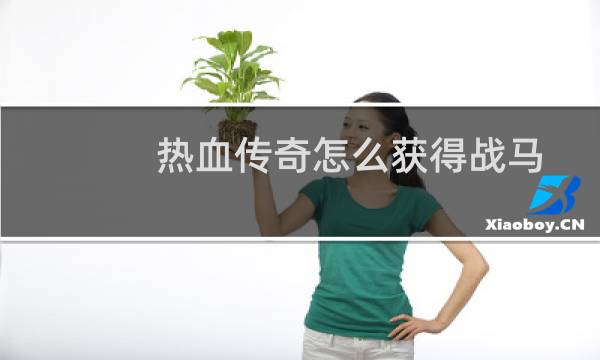 热血传奇怎么获得战马