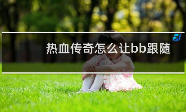 热血传奇怎么让bb跟随