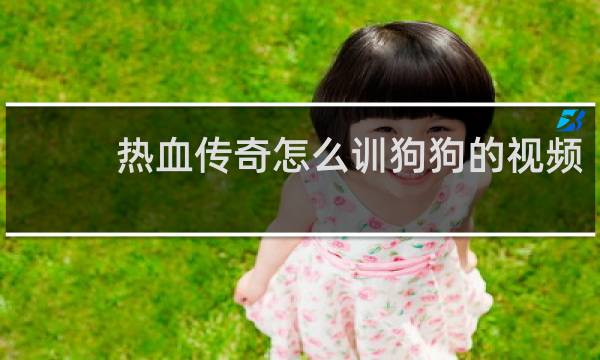 热血传奇怎么训狗狗的视频