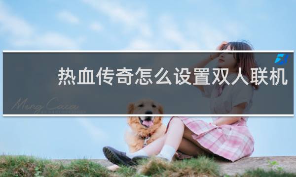 热血传奇怎么设置双人联机