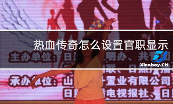 热血传奇怎么设置官职显示