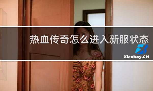 热血传奇怎么进入新服状态