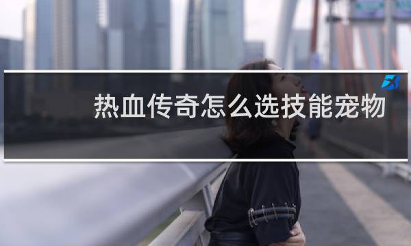 热血传奇怎么选技能宠物