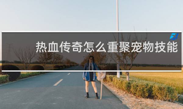 热血传奇怎么重聚宠物技能