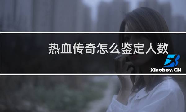 热血传奇怎么鉴定人数