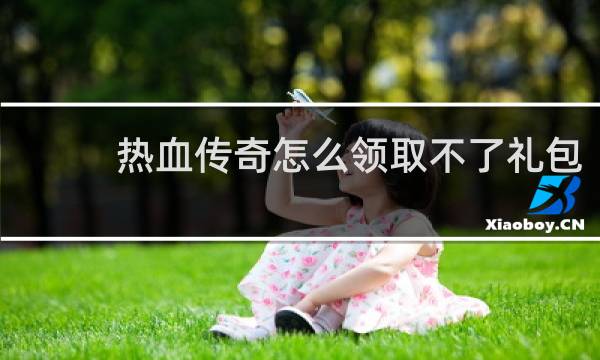 热血传奇怎么领取不了礼包