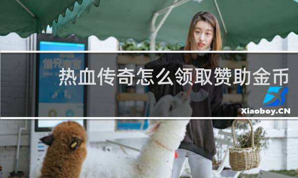 热血传奇怎么领取赞助金币