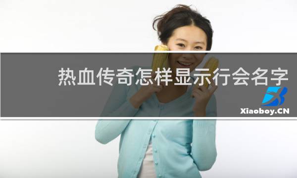 热血传奇怎样显示行会名字