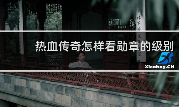 热血传奇怎样看勋章的级别