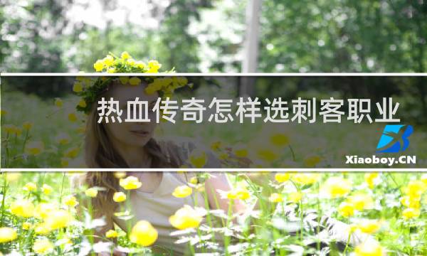 热血传奇怎样选刺客职业
