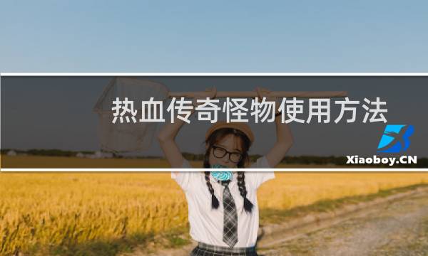 热血传奇怪物使用方法