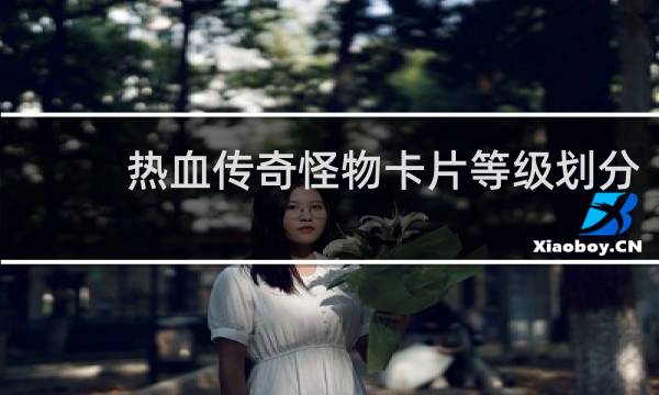 热血传奇怪物卡片等级划分