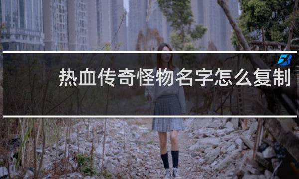 热血传奇怪物名字怎么复制