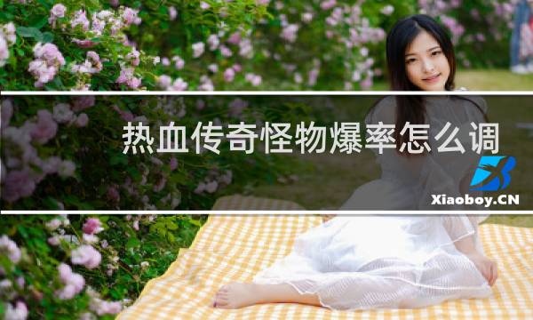 热血传奇怪物爆率怎么调