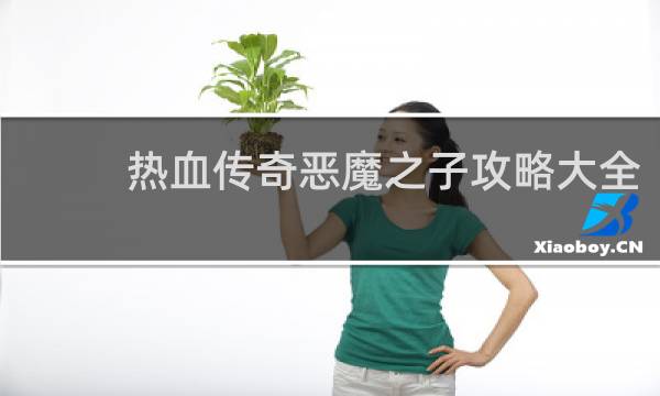 热血传奇恶魔之子攻略大全