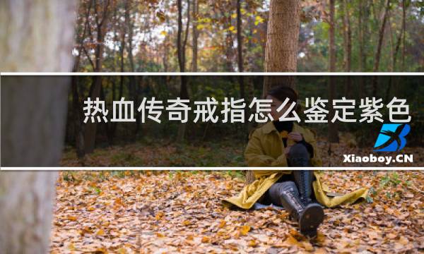 热血传奇戒指怎么鉴定紫色