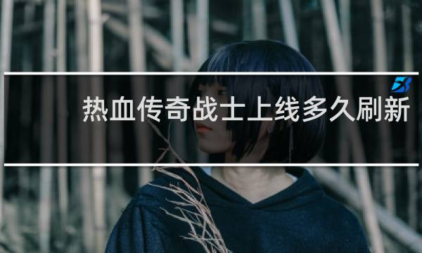 热血传奇战士上线多久刷新