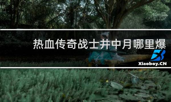热血传奇战士井中月哪里爆