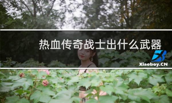 热血传奇战士出什么武器
