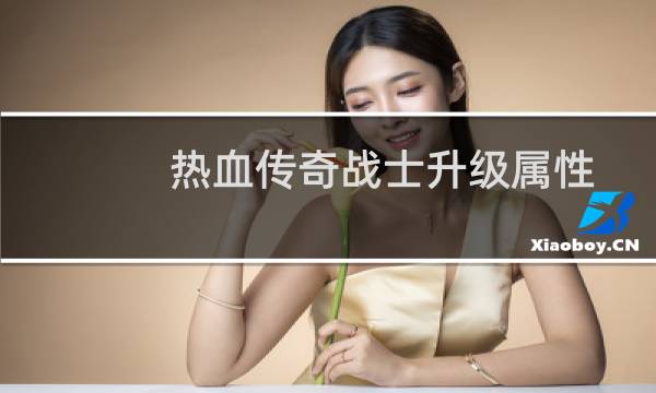 热血传奇战士升级属性