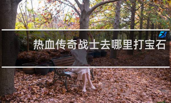 热血传奇战士去哪里打宝石