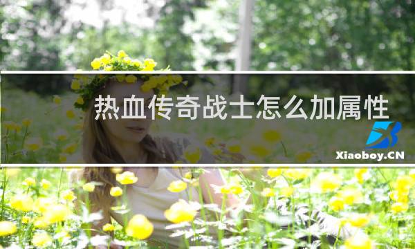 热血传奇战士怎么加属性