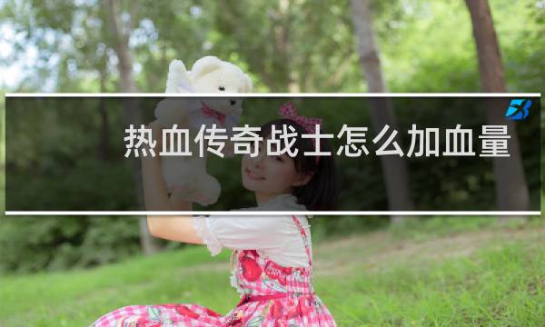 热血传奇战士怎么加血量