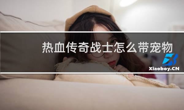 热血传奇战士怎么带宠物