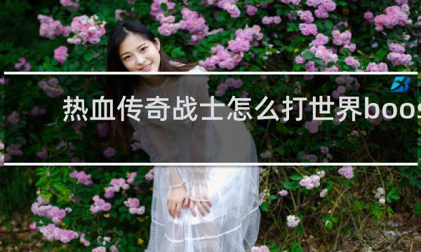 热血传奇战士怎么打世界boos