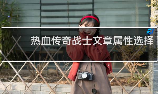 热血传奇战士文章属性选择