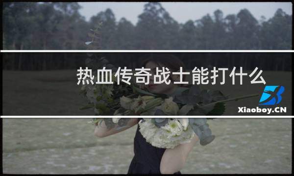 热血传奇战士能打什么