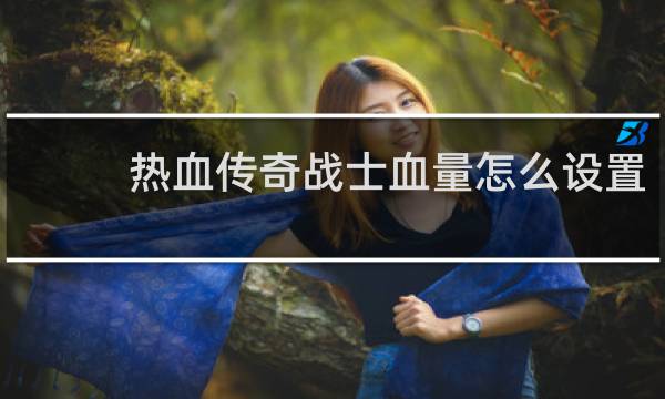 热血传奇战士血量怎么设置