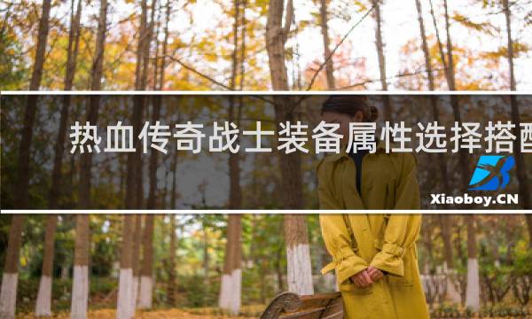 热血传奇战士装备属性选择搭配