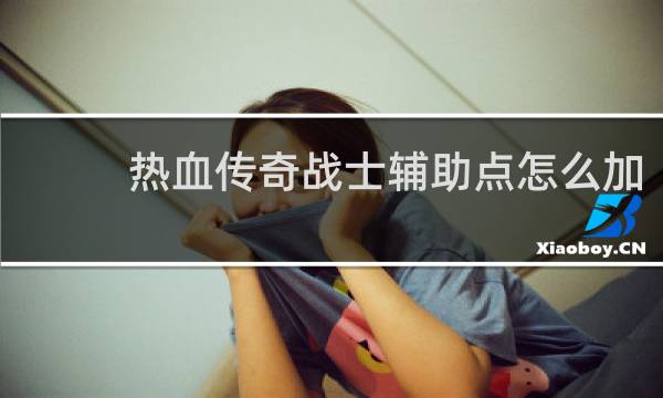热血传奇战士辅助点怎么加