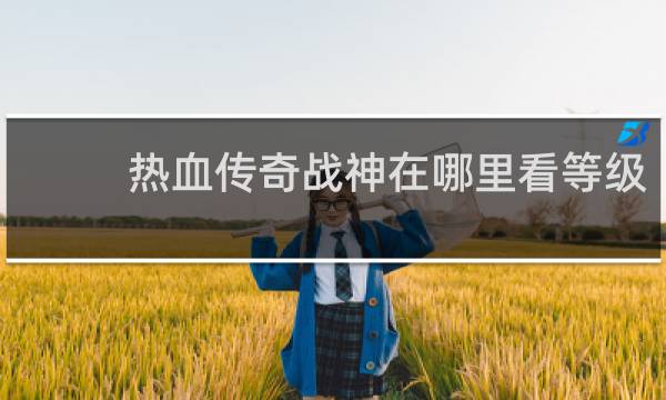 热血传奇战神在哪里看等级