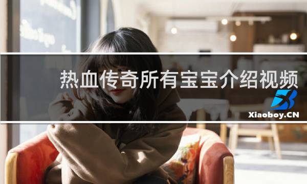 热血传奇所有宝宝介绍视频