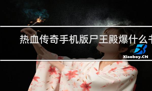热血传奇手机版尸王殿爆什么书