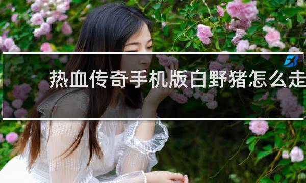 热血传奇手机版白野猪怎么走