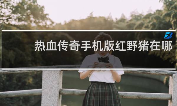 热血传奇手机版红野猪在哪