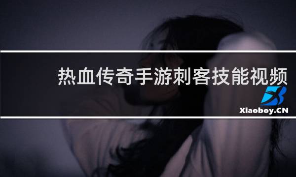 热血传奇手游刺客技能视频