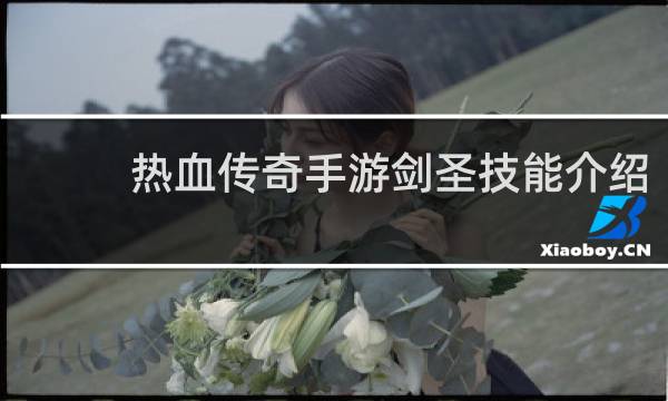 热血传奇手游剑圣技能介绍
