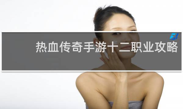 热血传奇手游十二职业攻略