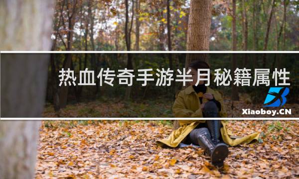 热血传奇手游半月秘籍属性