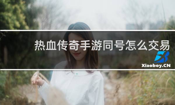 热血传奇手游同号怎么交易