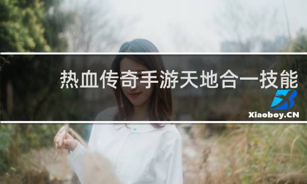 热血传奇手游天地合一技能