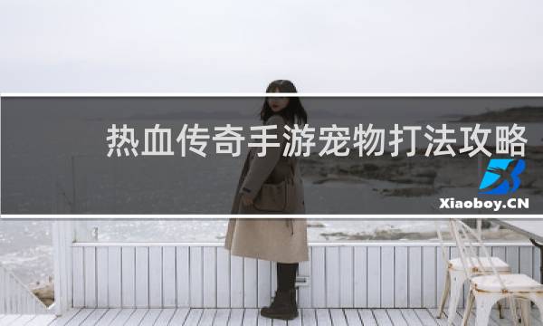 热血传奇手游宠物打法攻略
